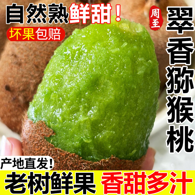 正宗翠香猕猴桃陕西周至当季应季奇异果/猕猴桃