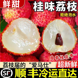 桂味荔枝广东茂名高州新鲜摘当季水果白糖糯米妃子罂糍笑整箱顺丰