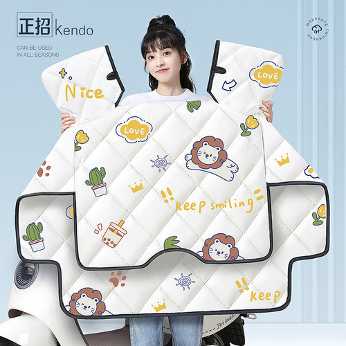 电动车挡风被四季通用夏季双面防雨罩电瓶机车防晒神器2025新款