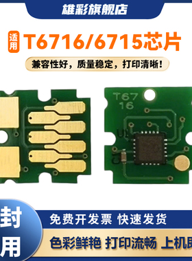 雄彩T6716/T6715维护箱芯片适用爱普生4745 4810 4820 4830 4835 4838 EC4020 EC4030 EC4040计数清零芯片