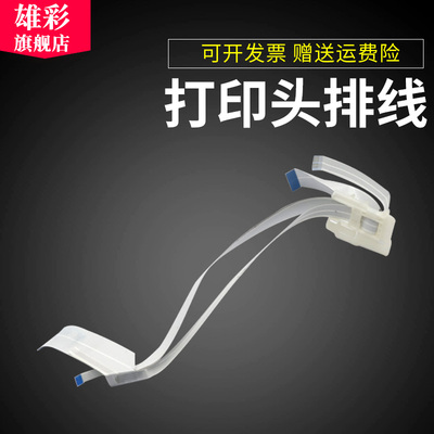 雄彩适用爱普生L301打印头排线L310 L351 L551 L220 L210 L353 L360 L358喷头排线 头缆