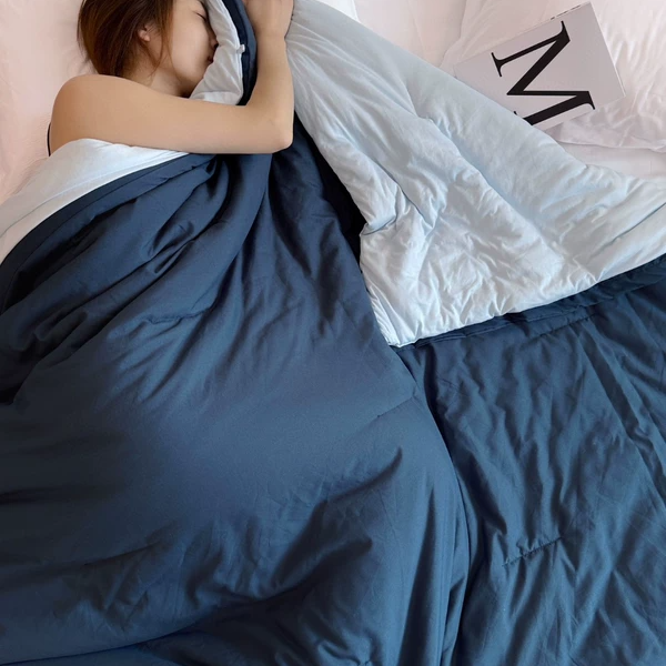 冬季双层控温深睡被秋冬单双人二合一加厚被芯冬季可机洗子母被