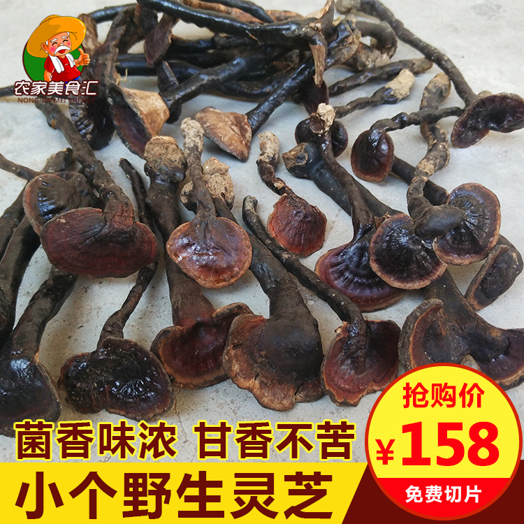 小个纯野生灵芝深山采摘紫灵芝粤北特产整枝灵芝草黑灵芝片250g