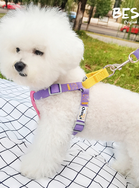 BESTA-网红撞色！宠物狗狗牵引绳小型犬比熊泰迪胸背带外出防挣脱