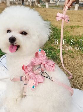 BESTA-蜜桃！宠物狗狗牵引绳小型犬比熊泰迪约克夏胸背带遛狗链子