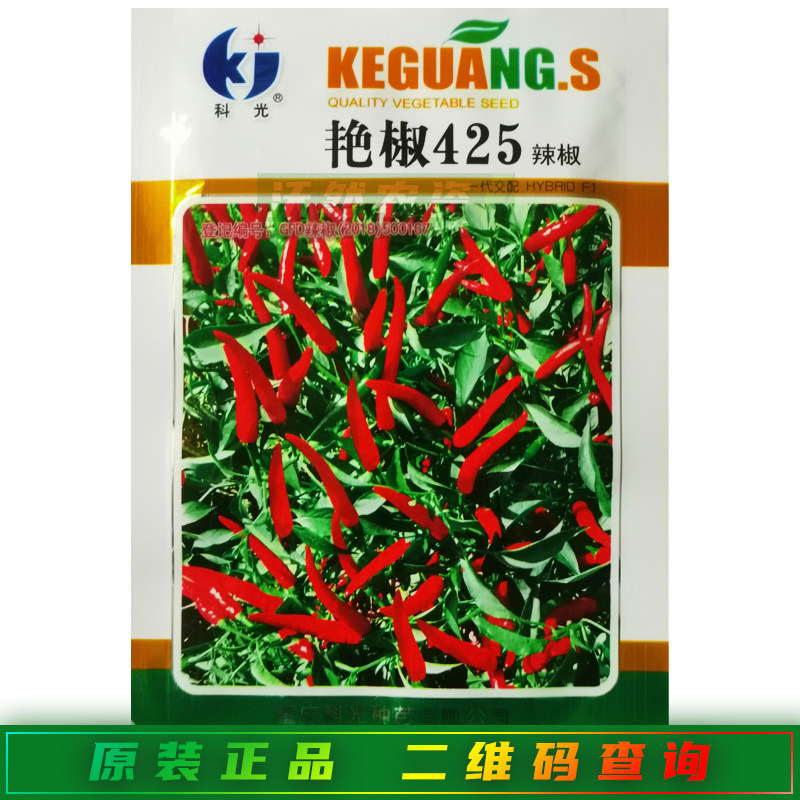 科光艳椒425辣椒种子中晚熟朝天椒辛辣型辣椒种籽孑适合干制加工