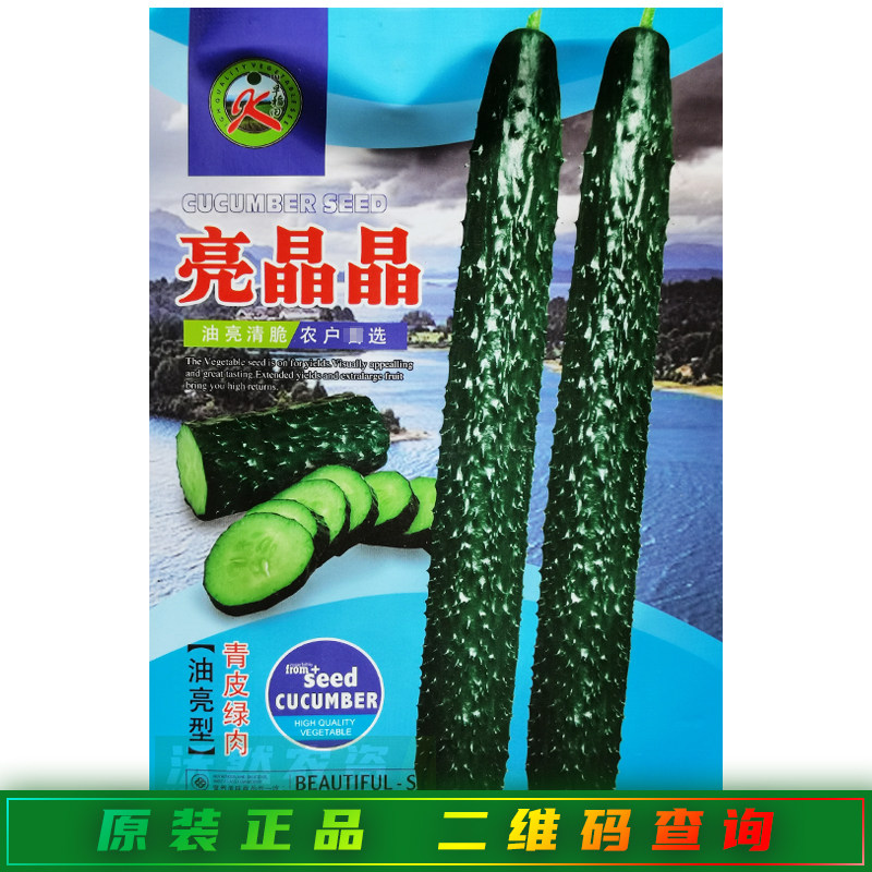 早稻田亮晶晶黄瓜种子油亮型