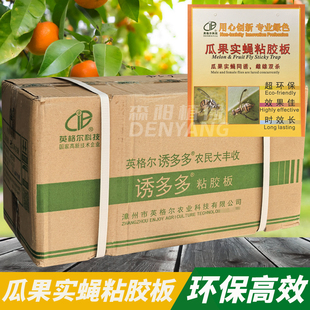 英格尔诱多多瓜果实蝇粘胶板丝瓜苦瓜果树粘虫黄板实蝇针锋小飞虫
