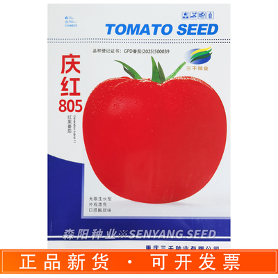 庆红805中熟无限生长番茄种子