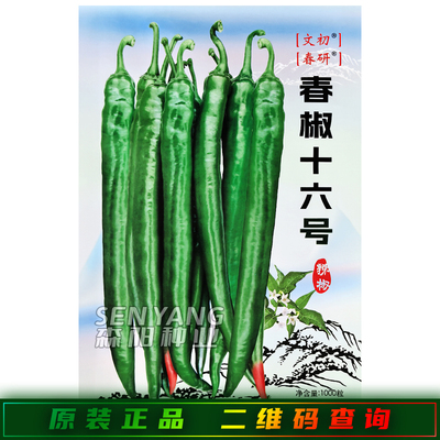 青椒十六号辣椒种子籽中早熟