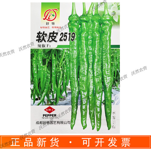 好特软皮椒种子中早熟较辣高产