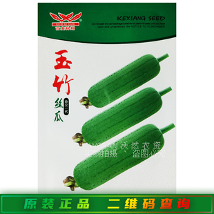 百度科翔玉竹丝瓜种子孑中熟短棒型肉丝瓜种籽高产青丝瓜绿皮丝瓜