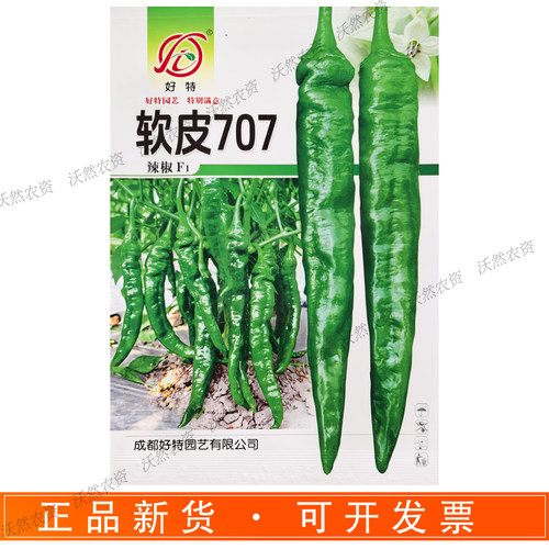 好特软皮707辣椒种子高品软香辣椒早熟小羊角春秋特辣皮薄高产
