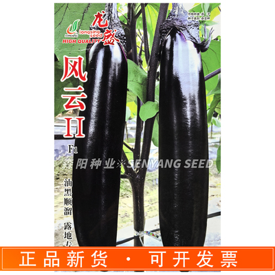 龙盛风云2茄子种子中熟高产