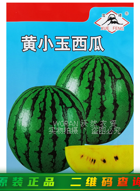 黄小玉西瓜种子中熟绿皮黄色薄皮礼品西瓜种籽大田基地高产西瓜种