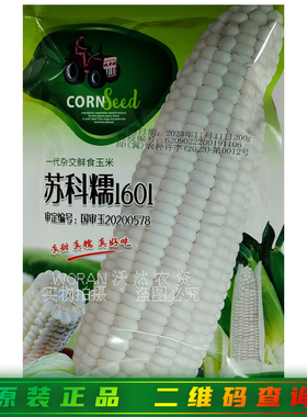 苏科糯1601玉米种子国审大棒糯白玉米种籽香甜软糯粘玉米包苞谷孑
