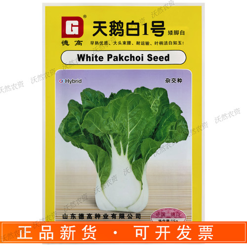 德高矮脚白白菜种子早熟抗病丰产