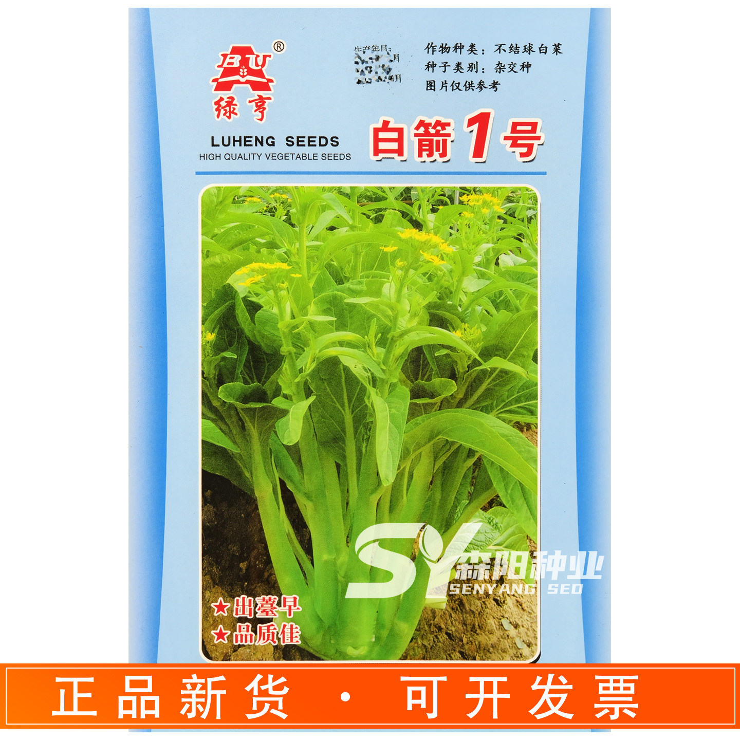 绿亨白箭1号杂交早熟菜苔种子图片