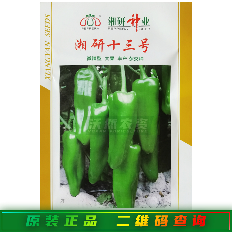 湘研十三号辣椒种子微辣型大果肉厚高产粗牛角型大果绿色辣椒种籽