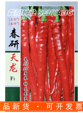 文初春研天龙辣椒种子高产早熟绿色粗条椒长豇豆型品种线椒青红椒