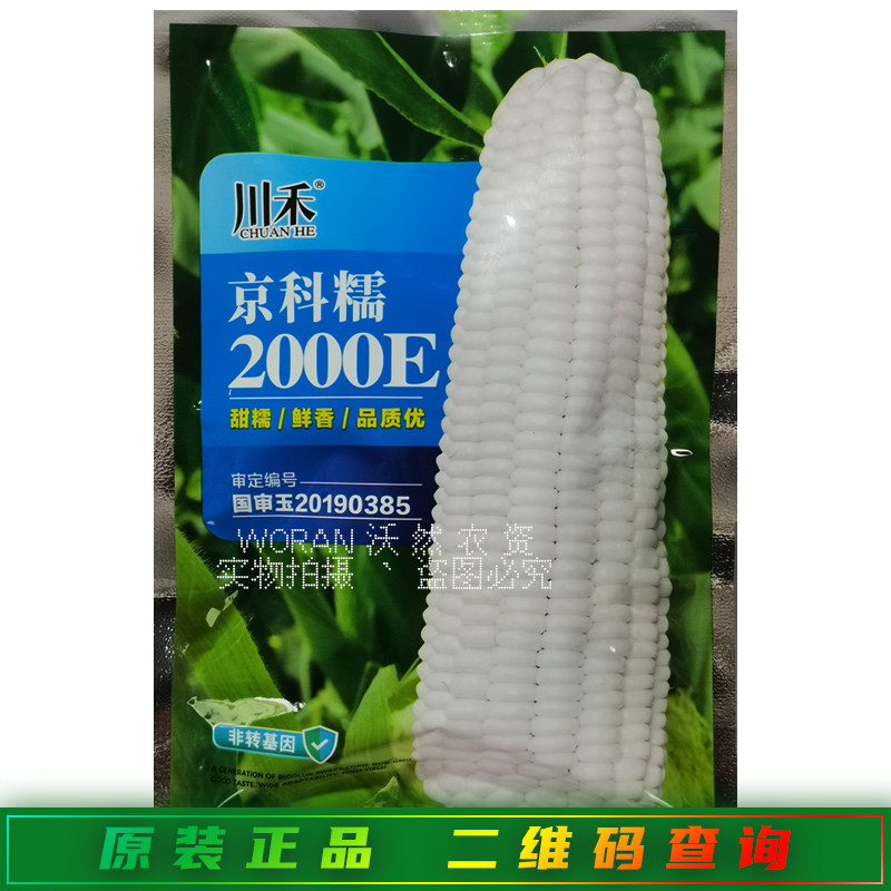 川禾京科糯2000E玉米种子软糯鲜香粘玉米包苞谷种籽 国审中糯二号