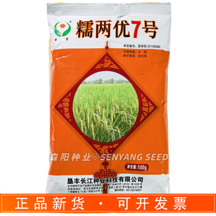 糯两优7号水稻谷种子国审杂交糯稻正宗优质高产耐热一季中稻糯谷