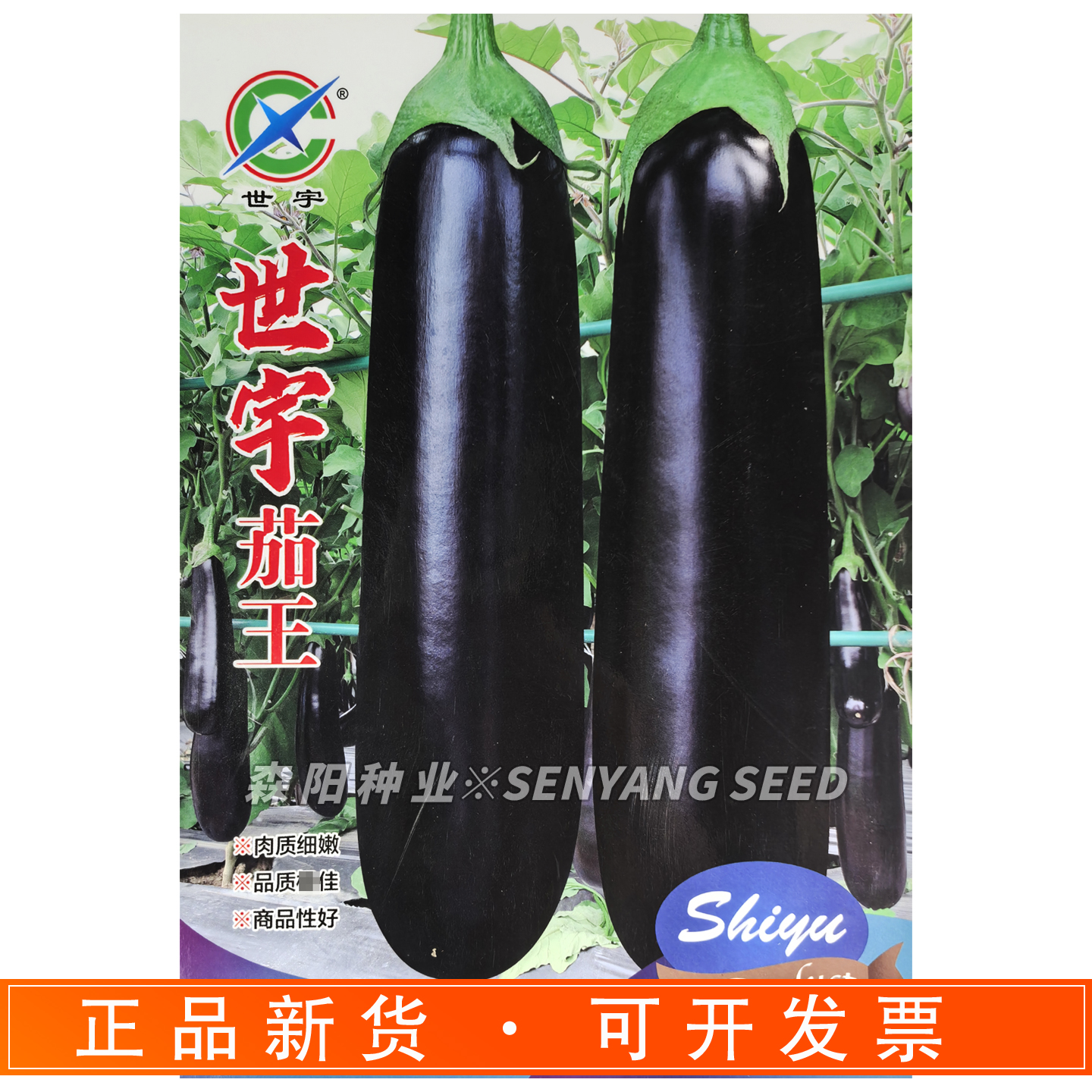 世宇茄王茄子种子亮度好