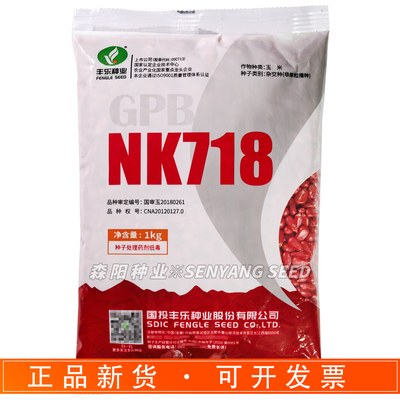 丰乐NK718玉米种子国审大田玉米