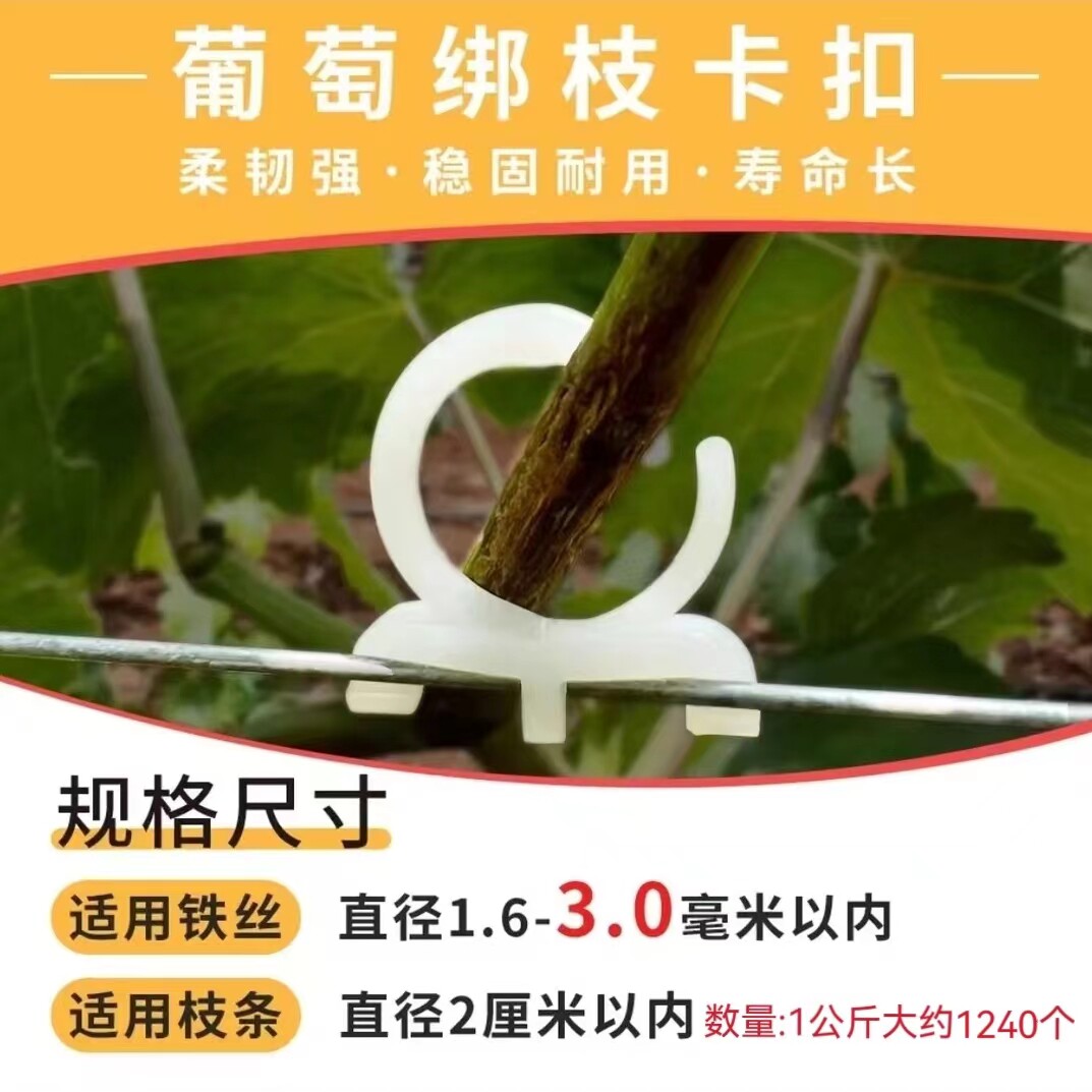 新款免拆卸葡萄定位卡扣 新款免拆卸葡萄绑枝卡扣 葡萄绑枝卡