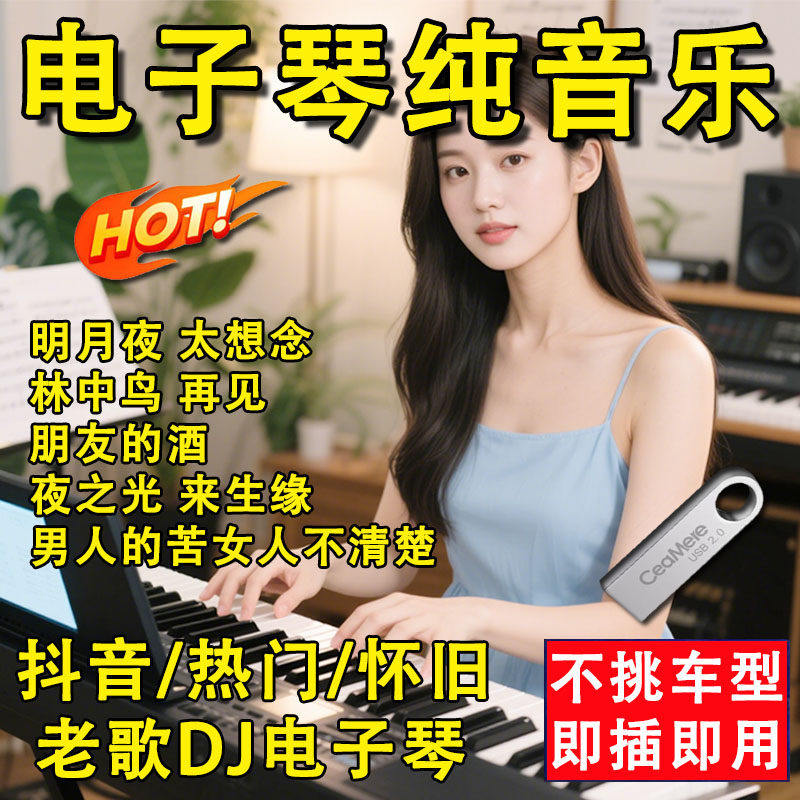 电子琴dj车载u盘纯音乐笛子架子鼓dj合奏曲抖音无损车载音乐u盘