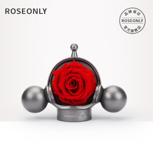 ROSEONLY向爱玫瑰永生花