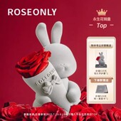 ROSEONLY诺誓永生花甜心兔玫瑰礼盒表白送女友爱人生日情人节礼物