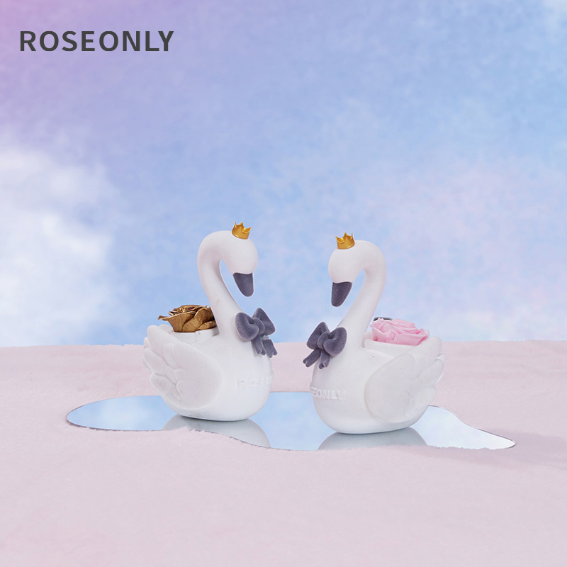 NEWƷBaby ϵ-˹-ɫ-С ROSEONLYŵ˹1520Ԫ