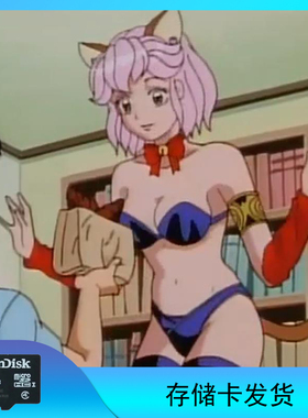 Visionary 动漫TF存储卡U盘