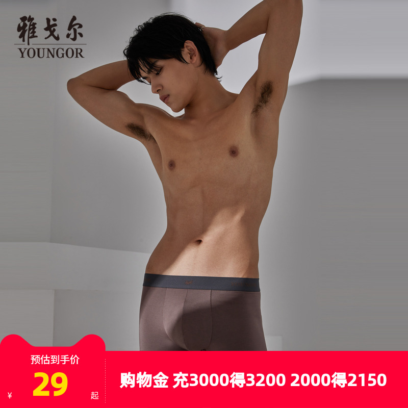 雅戈尔男士内裤平角裤组合斯文商务男士中青年