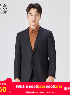 【商场同款】雅戈尔男士西正装秋季商务休闲羊毛西装外套S2122