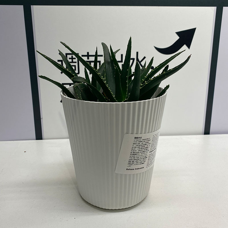 塑料花盆绿萝盆栽室内阳台花盆