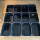 舒法特储物盒黑色乌龟饲养盒蛋龟草龟发色盒活体红面龟饲养盒套缸