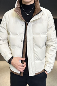 2024冬季新款羽绒服男立领短款拼色标绒羽绒外套D66-P155图片