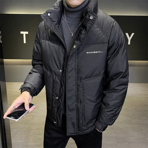 店主风2024冬季主推羽绒服男短款立领标绒外套8869--P165图片