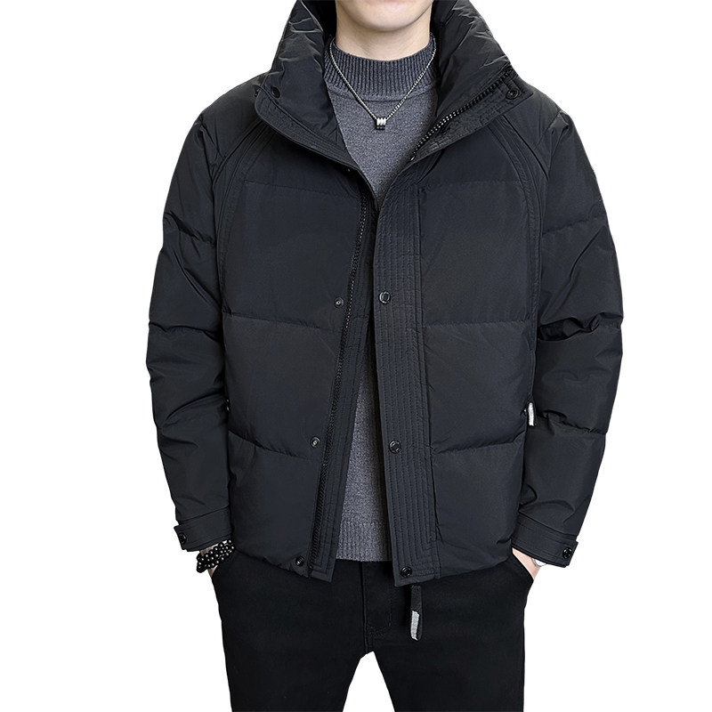 店主风2025冬季新款立领加厚羽绒服男标绒保暖外套8179-P200,男装羽绒服,电商D238