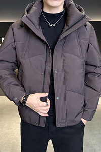 店主风数据款2025冬季新款羽绒服男短款连帽加厚外套8172--P210图片