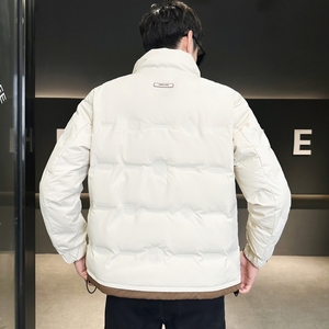2024冬季新款羽绒服男立领短款拼色标绒羽绒外套D66-P155图片