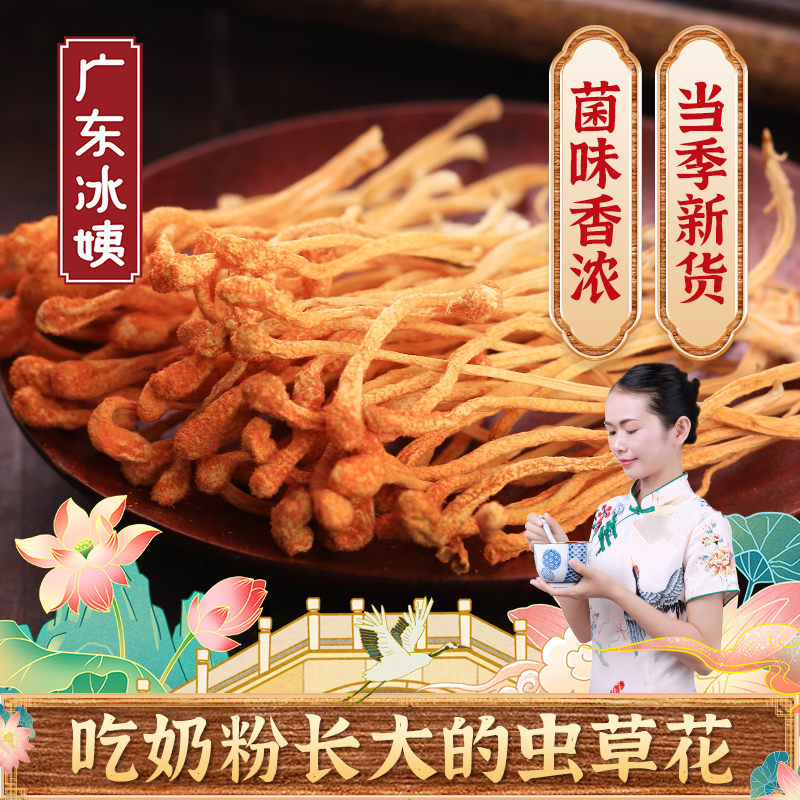 冰姨虫草花100g无硫新会地标产品