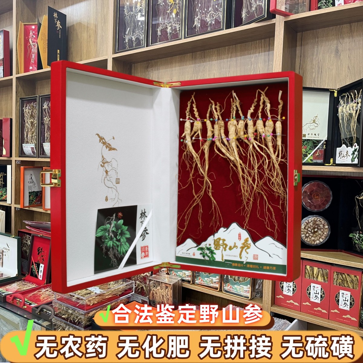 30g野山参礼品林下参老货吉林山参长白山生晒野山参礼盒鉴定证书