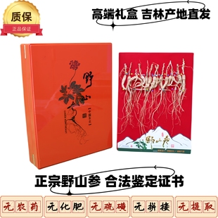 20g野山参礼品林下参老货吉林山参长白山生晒野山参礼盒鉴定证书