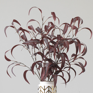 样板房假树枝秋色尤加利叶带果桉树叶干花橱窗装饰婚庆家居摆设