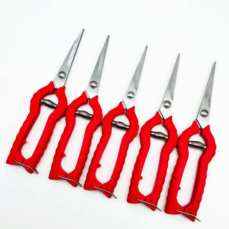 摘果剪疏花蔬果剪叶芽剪