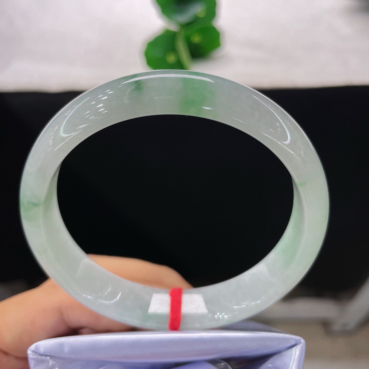 天然A货翡翠手镯乳白飘阳绿63mm缅甸老坑淡飘花玉镯白底青手环