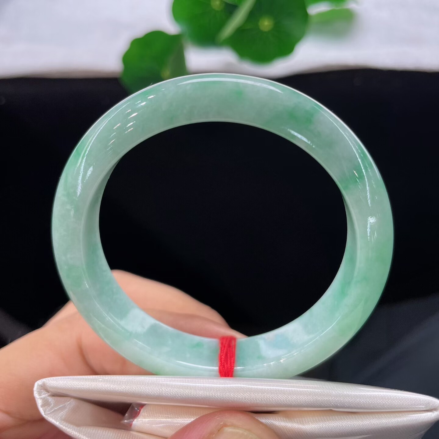 天然A货翡翠正圈手镯乳白飘绿缅甸老坑玉镯宽边镯子50.8小圈口